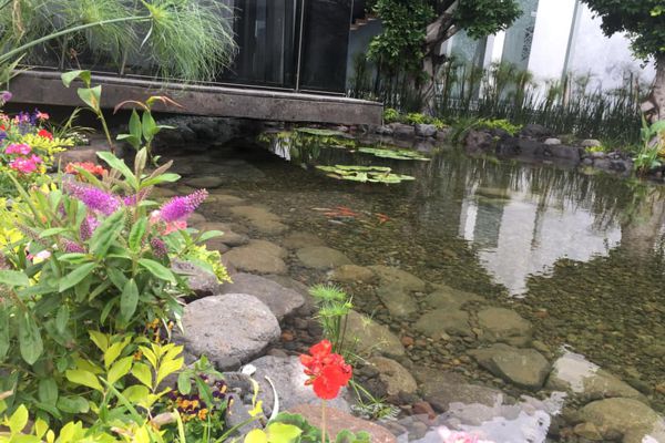 Proyecto en Atlixco, Puebla