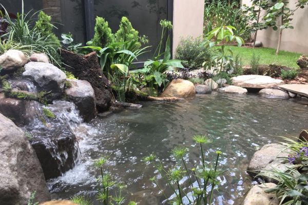 Proyecto en Avandaro