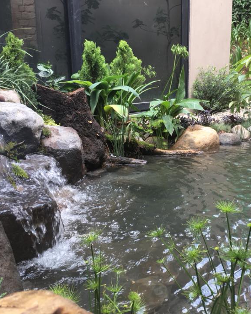 Estanque en Avandaro