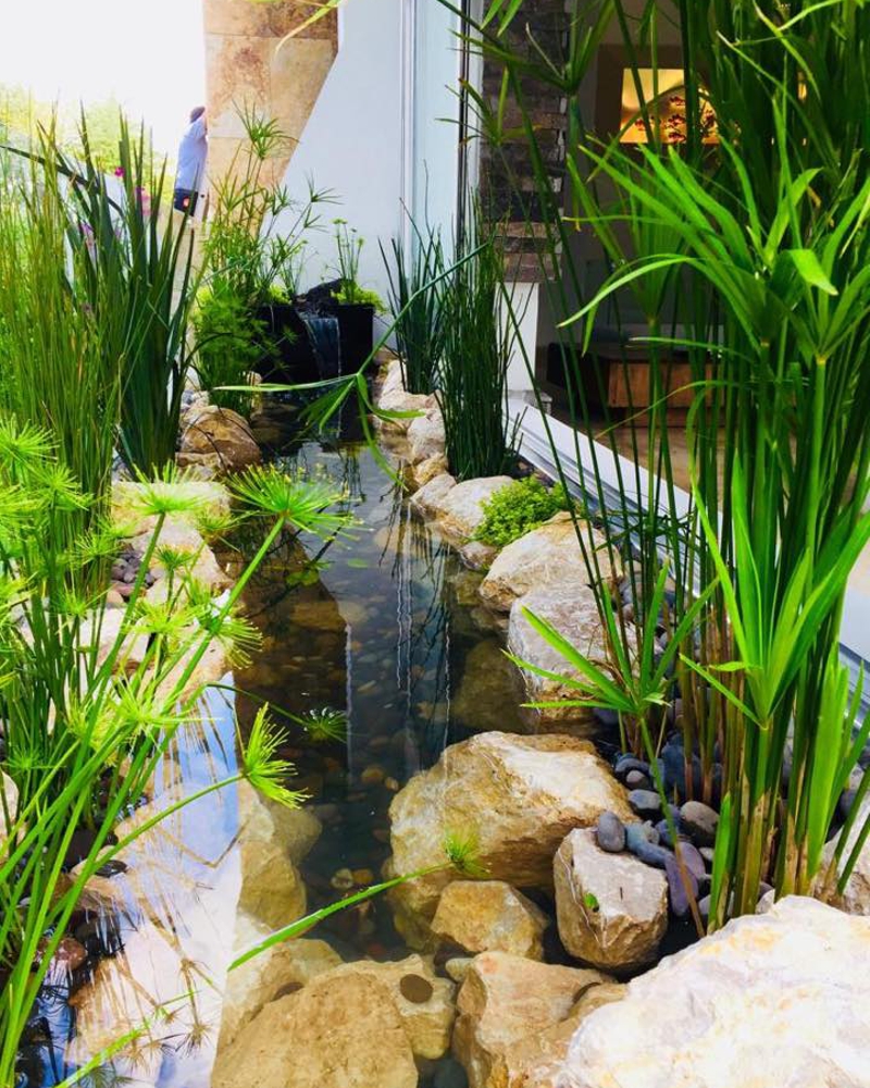 Pequeño estanque en tina