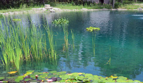 Construcción de lagos